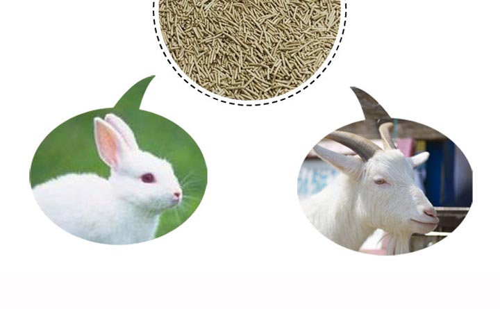 兔羊飼料顆粒 兔羊飼料顆粒