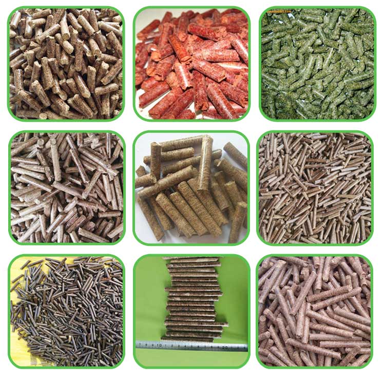 生物質顆粒機生產的顆粒 生物質顆粒機生產的顆粒