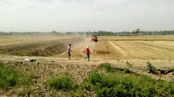 秸稈顆粒機助力秸稈禁燒 秸稈顆粒機助力秸稈禁燒