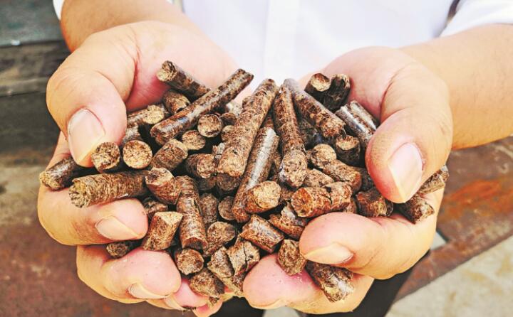 木屑顆粒機生物質(zhì)顆粒 木屑顆粒機生物質(zhì)顆粒