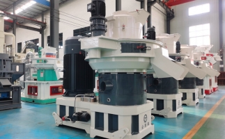 鋸末顆粒機生物質顆粒，將會改變普通人民的生活！