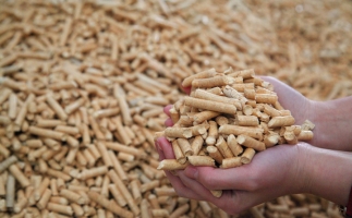 鋸末顆粒機生物質顆粒，你需要知道的常識問題